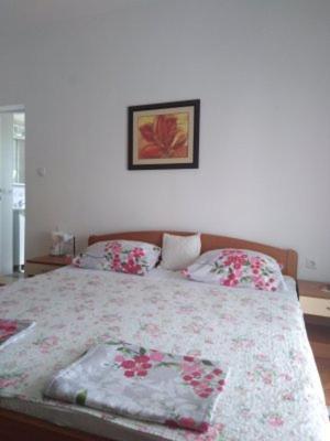Apartments Medici Zaostrog Εξωτερικό φωτογραφία