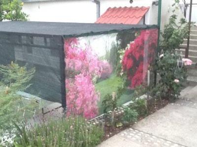 Apartments Medici Zaostrog Εξωτερικό φωτογραφία