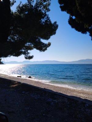 Apartments Medici Zaostrog Εξωτερικό φωτογραφία