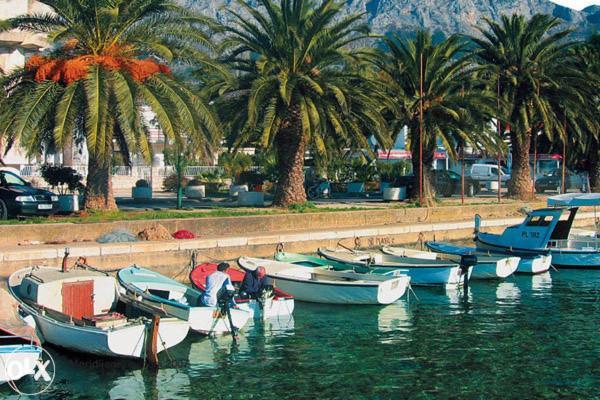 Apartments Medici Zaostrog Εξωτερικό φωτογραφία