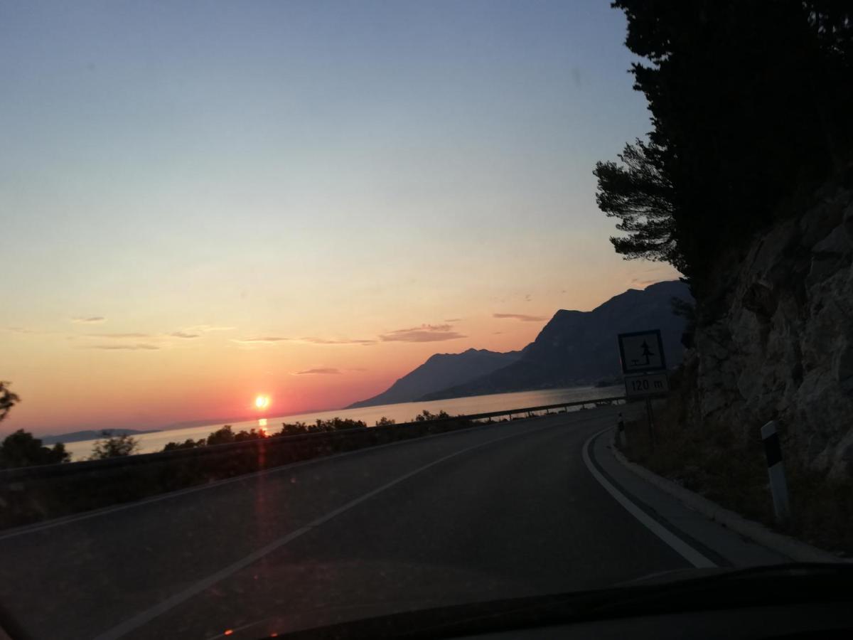 Apartments Medici Zaostrog Εξωτερικό φωτογραφία
